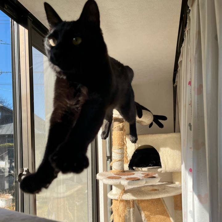 F442909a bf6b 4d44 a425 1dd370790d28 1765089052478