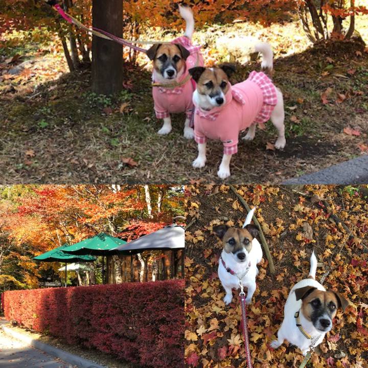 F442b2a7 0fe6 4387 bbe0 1a821b3ccdd3 1541233065661