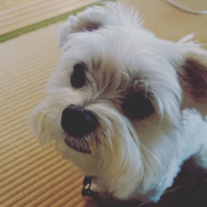 F442bd06 02db 4536 9ddf bb7a8b07f1f2 1567172994860