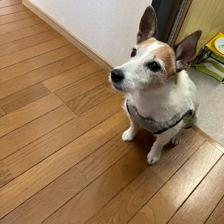 F442c2ac 1ac1 4e4b aa41 36db9f86dfbb 1710889554510