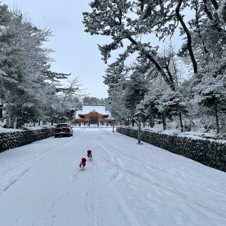 F442c42e 38cf 426b 900d 8a2843440d6f 1642638546876