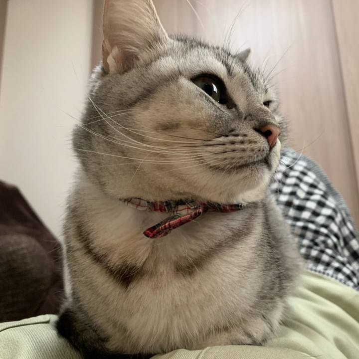 F442c781 2968 481e afc5 c0ca76910e95 1586913921740