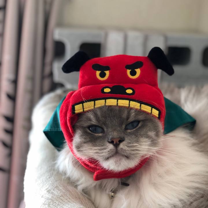 F442e93b b6eb 4cfe a1b9 9af5594879c0 1546334324688