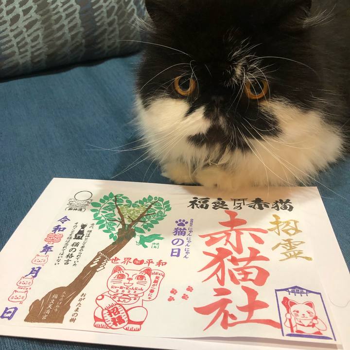 F442f606 fe31 4343 a8ac 8792222cf88c 1646139206248