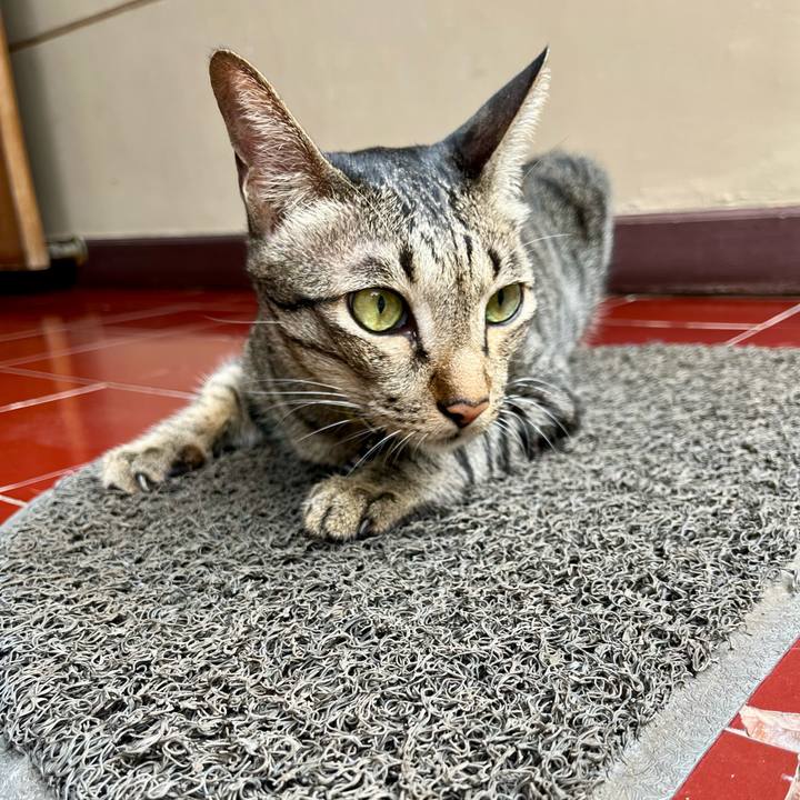 F44310b4 1a23 4160 a560 41b1d173cdfb 1763611455829