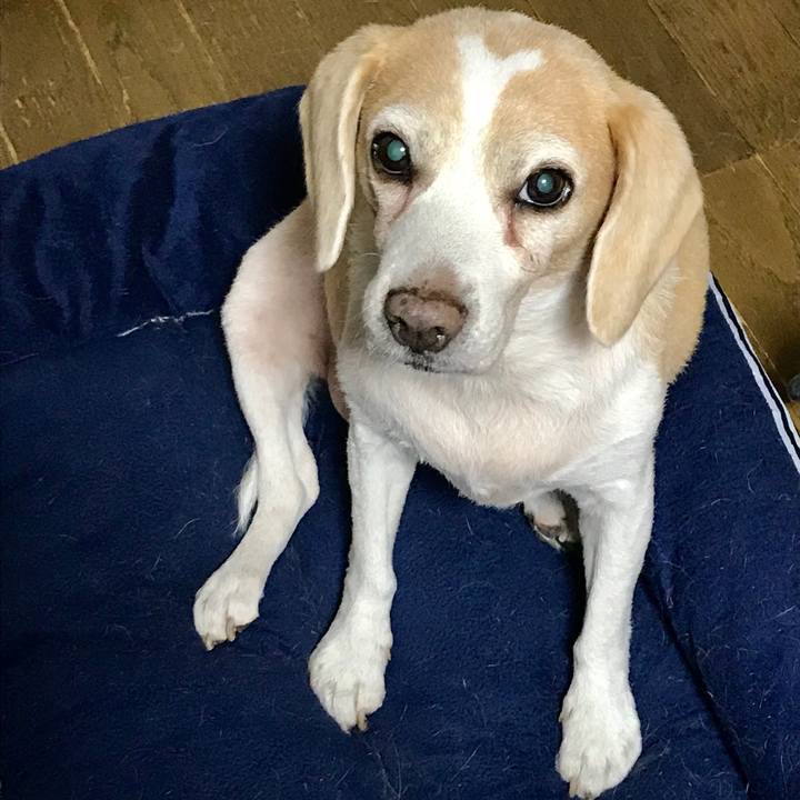 F4436005 f22a 49ec a9f1 b60ae72266d6 1567810252862