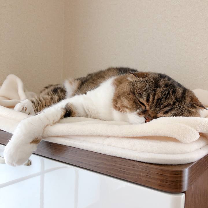 F4436082 f927 4440 9b63 775a7562efb7 1588733642003