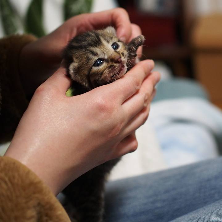 F4436d05 80da 4e48 91cc 7ee7c3310119 1558616260865