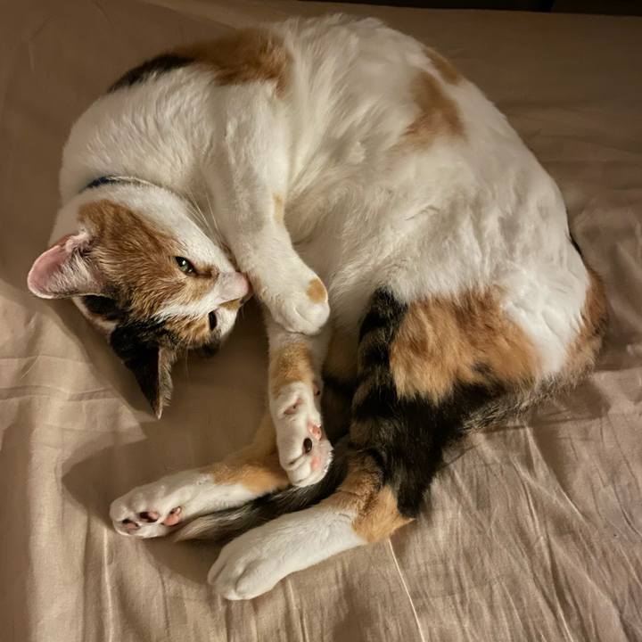 F4438b62 8560 4de1 bdc2 ffe4a8628489 1723464867092