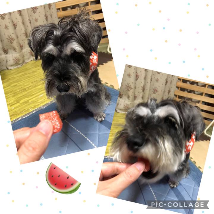 F4439e18 f6cf 4df1 99a4 51ab86caeccf 1692537532237