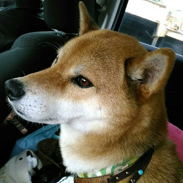 F443aed7 f5b5 4652 bdc7 8b170523359e 1562383883739