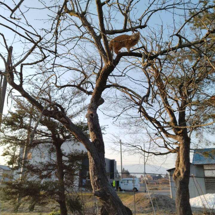 F443b2b8 499f 4003 808f 9a10db859c56 1679436054128