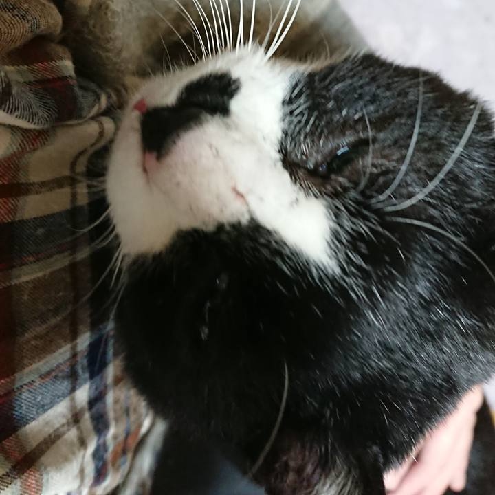 F443f5d6 b934 4119 ad4b b9da7c7d6d92 1547550774951