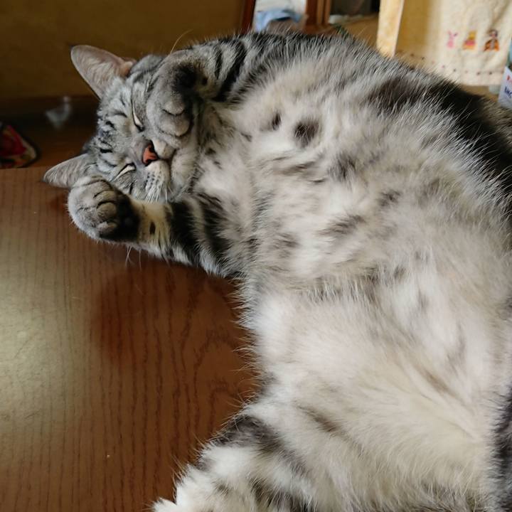 F443f99b 41da 4808 a260 ee3dc994668e 1550528299117