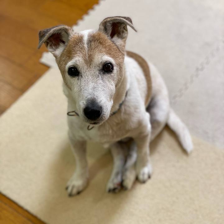 F44460ae 7298 4cf5 adea d78eca75753d 1634344482384