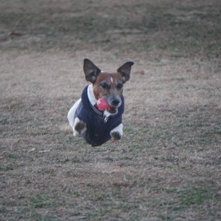 F4446926 7122 4e8b 90ff 5dcc949c2c8a 1608679077414