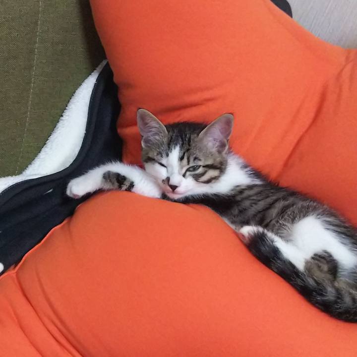 F4448d01 fcb2 4a8c ba58 8381ab692a31 1606624036431