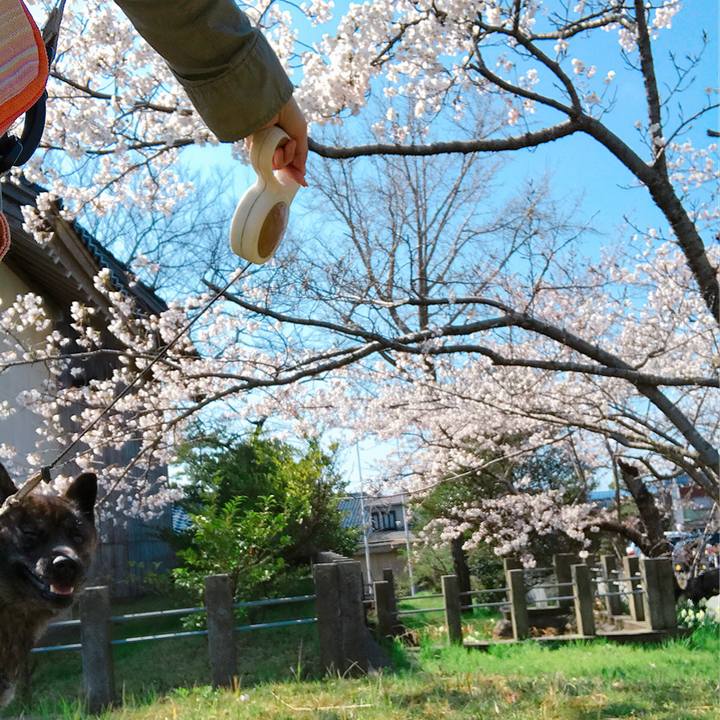 F444a474 a3a4 436a 8be2 9c5d259aa73a 1523251223152