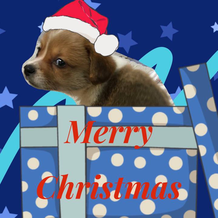 F444deb1 9fb9 42ed b24f 3cee660dfa42 1640306833648