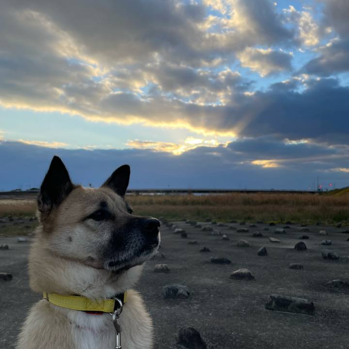 F444f212 65bb 4613 a649 cf8613ddee11 1639999449024