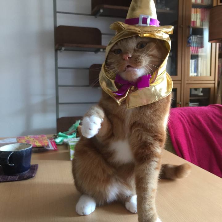 F4452c13 ceb6 463a bdd2 9d675f31ad6c 1540724500669