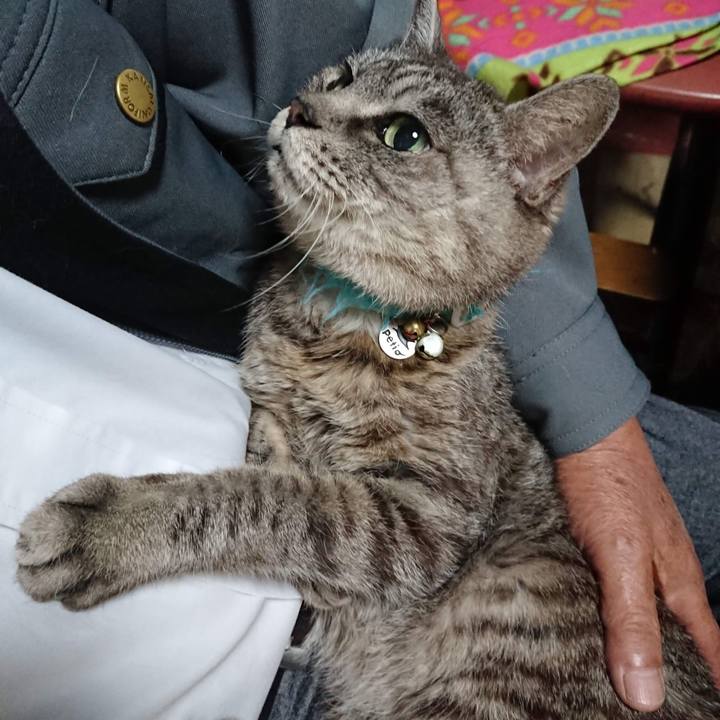 F4453986 15c6 4031 a2c9 ae9eed16f8a8 1603223862665