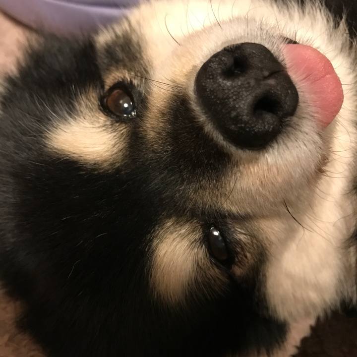 F44544b7 f556 4d80 9950 9a0e94b4613c 1552318913428