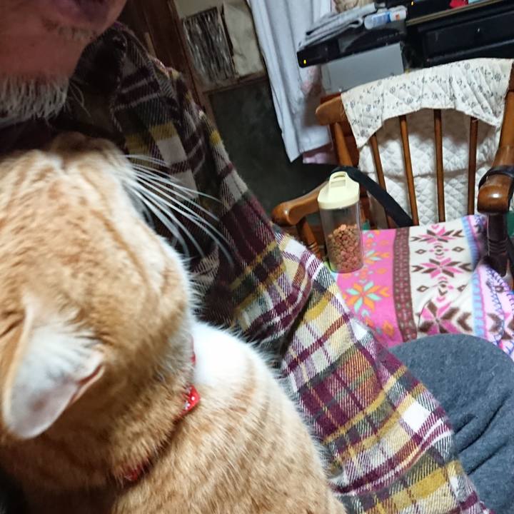 F44546e8 7efb 4ce8 96fa a0b16eba355c 1578169322813