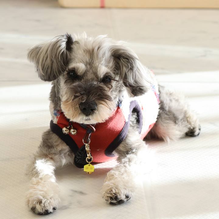 F44562dd a0d5 4ad4 b761 ca52bc5181dc 1770623750527