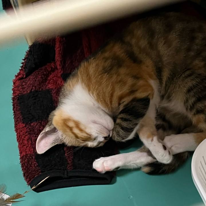 F4459181 12ff 43d7 82f0 e24fc0f101e3 1655385775888