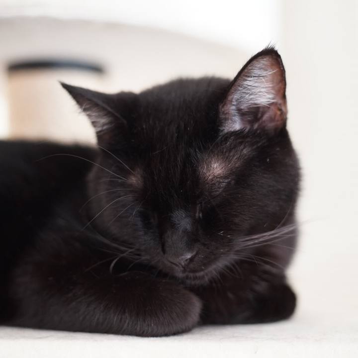 F445aa3e d4a6 4a4c 9d96 848e51642130 1536727058826