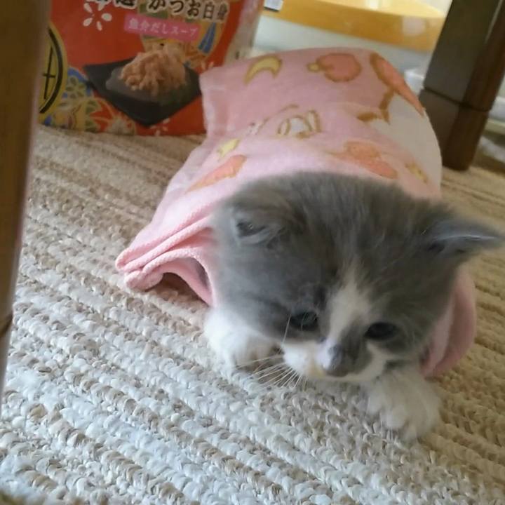 F445b1b2 ffa5 4555 b57d 859f9f5764fa 1558504366607