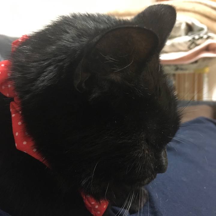 F445b81b ff70 4f76 af2a ee86d1b3abda 1546676386867