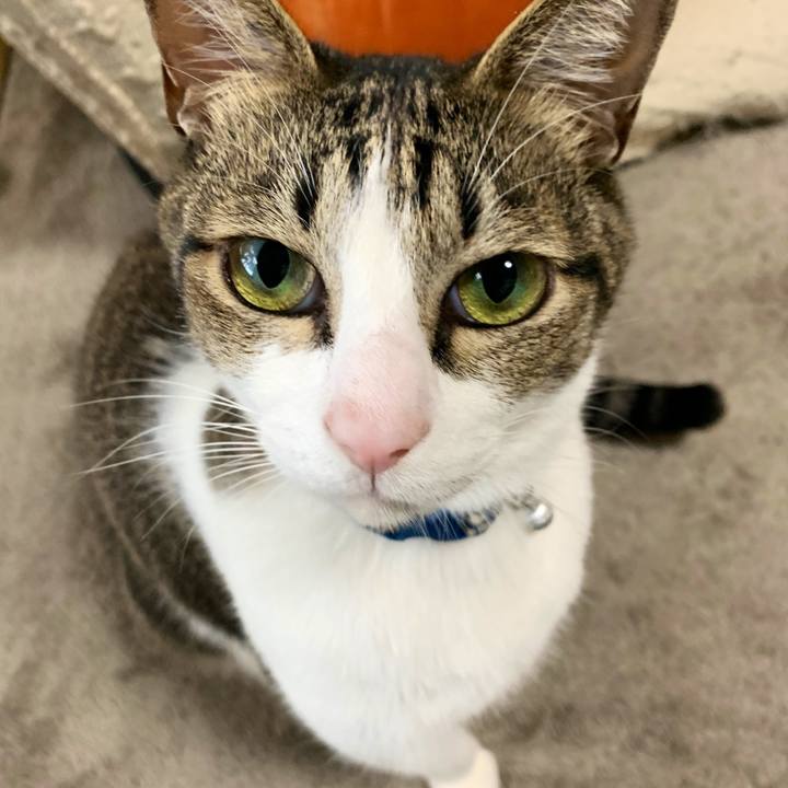 F445b8c3 857e 4c04 8a9d 09b83ff5f473 1544076462475