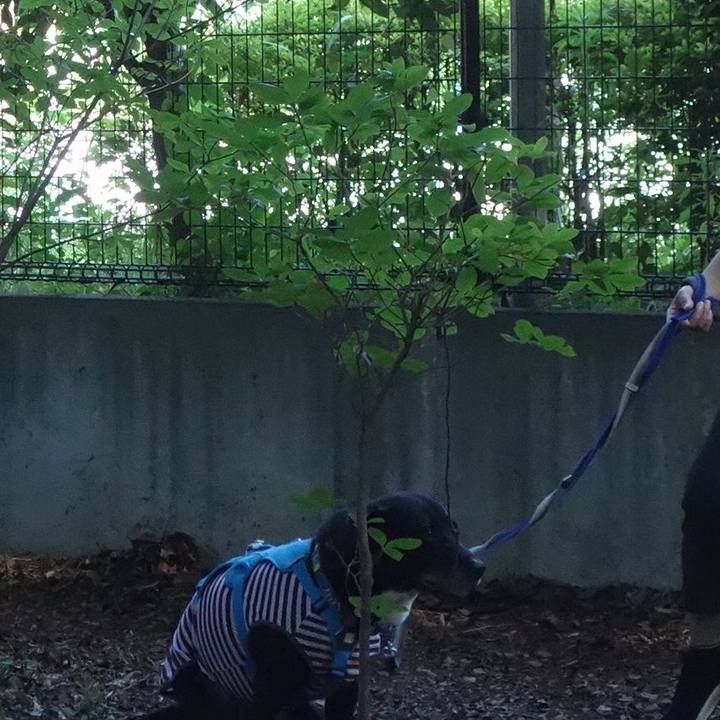 F445dc10 7581 4ca1 9ecf 2e339ebe5d50 1688948959236