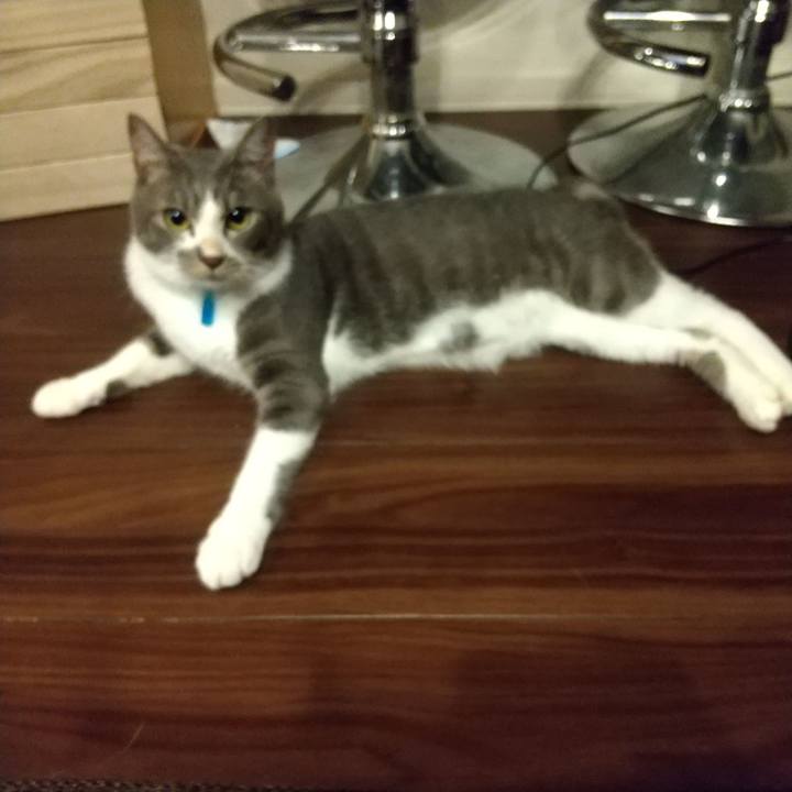 F4460509 adcb 4702 a9bc 2d95784f0acd 1597066381143