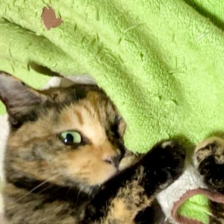 F44657ba cec3 48f1 b3f4 637379f40a38 1729799696112