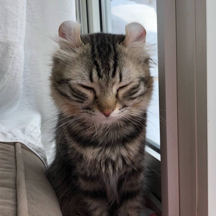 F446cf8e bc19 47bd 8f07 53bb98e3dc98 1519354496903