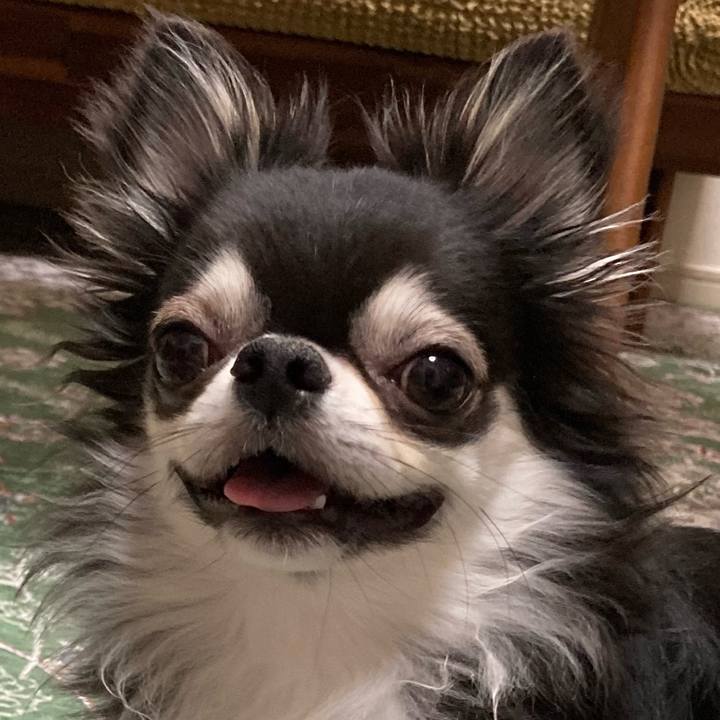 F446d588 afeb 4055 81c1 d44a83d9f21f 1656774405544