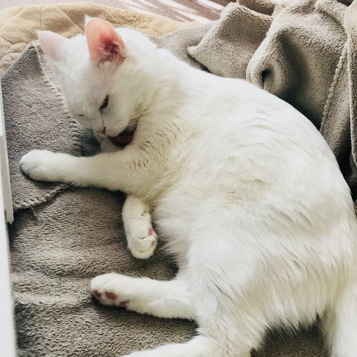 F446f781 dcf3 4785 9d9e 247a2bb0b701 1510272338989