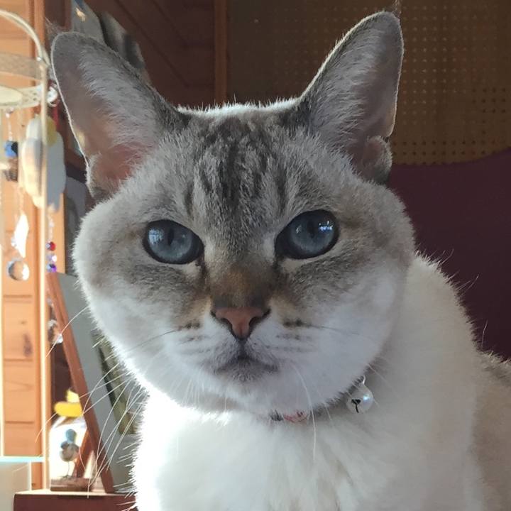 F4470e1e 17a5 40e0 b805 9693fdd2ede5 1541916440856