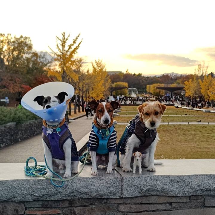 F4473071 b9b4 48df aa55 ed6d358a31c0 1669552904589