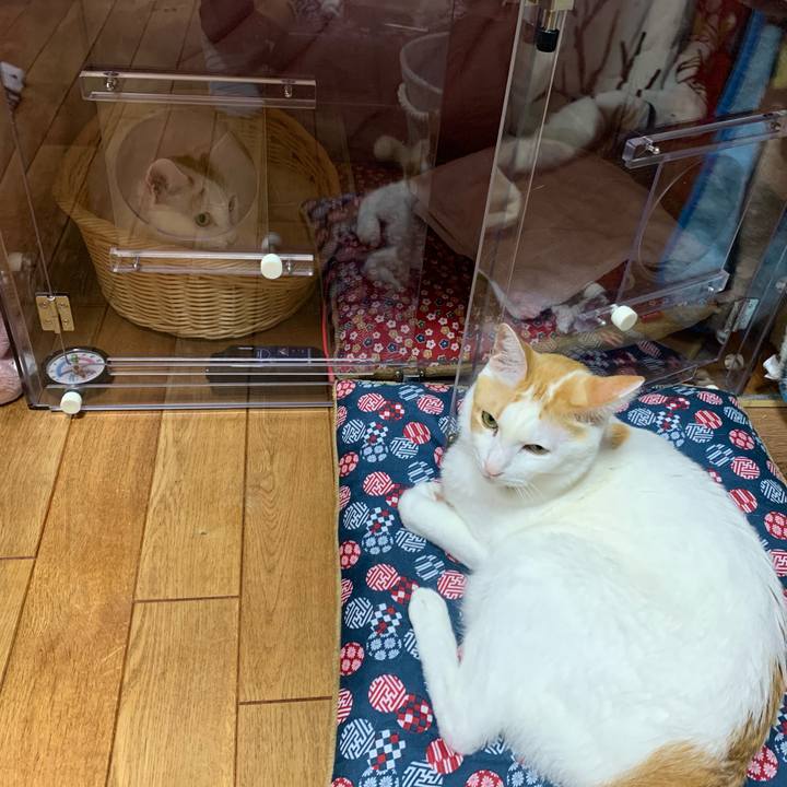 F447336e 56f6 414f 88da d44306e88fdd 1579347408506