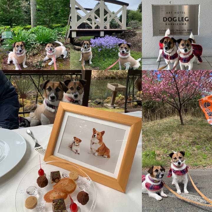 F4476454 1b03 44c0 9f52 16b0debdbcf7 1620134007288