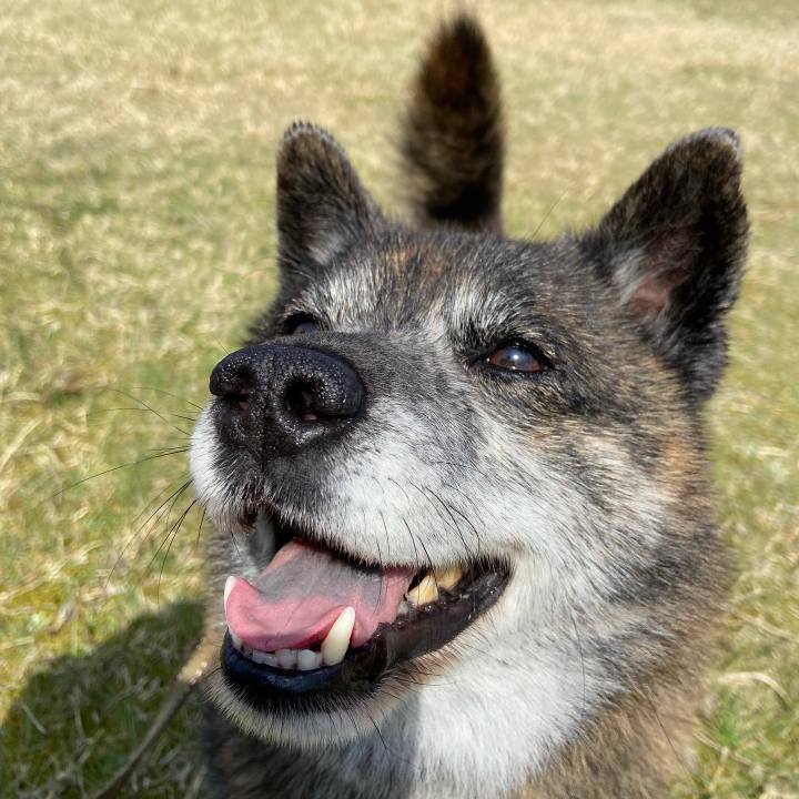 F447694e 064e 47f8 971d aa0e49aae96a 1649324414564