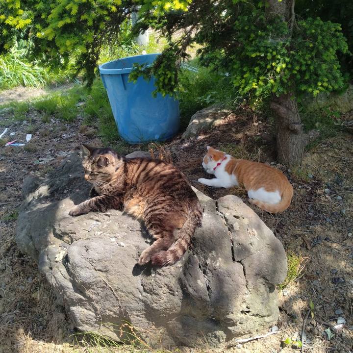 F4478707 84f6 4e93 b470 4c7da8d78a82 1749200661365