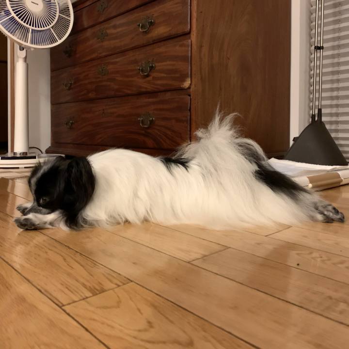 F447892d dc16 49e3 b9c0 0ae539b1c1d3 1565095949857