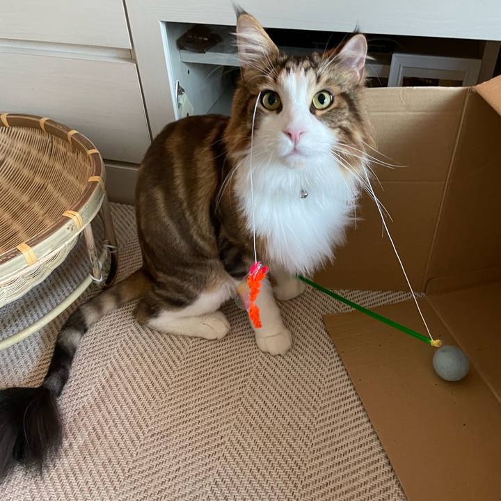 F447b27a 8766 4416 9efc c5be0e40c3a5 1661027690765