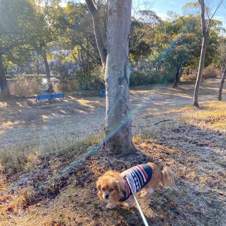 F4480f81 6e6d 4e73 8232 cd3dbbde0345 1609549904059