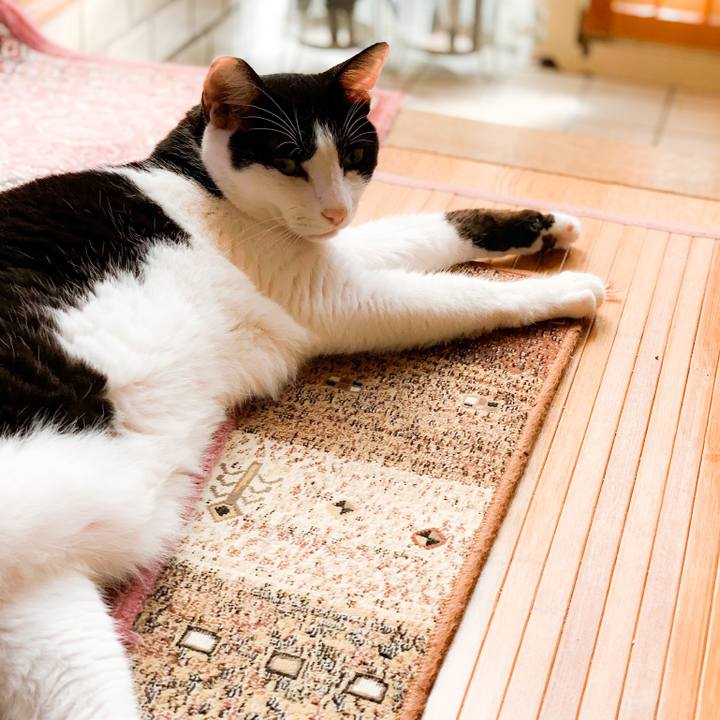 F4488e78 6596 44b1 81a0 10e8f49f815f 1571190785623